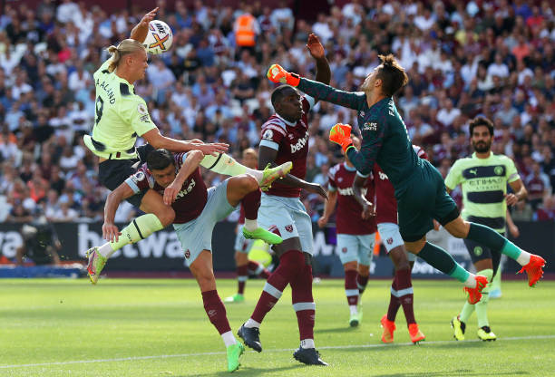 活性和应变 活性和应变